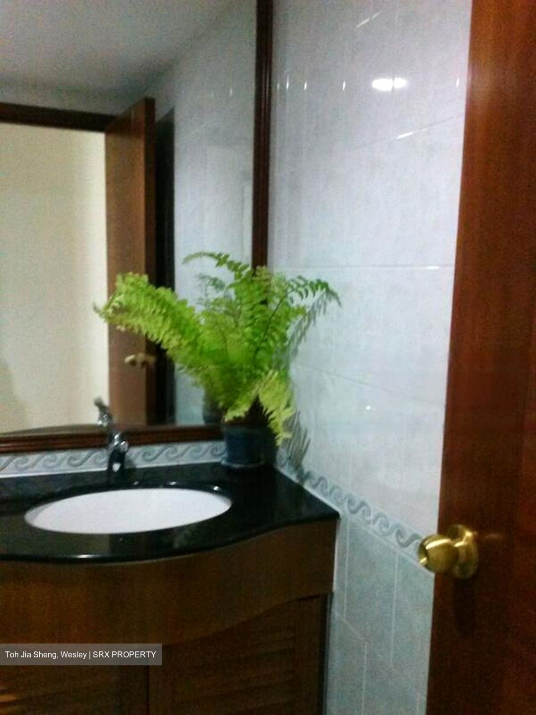 Pinevale (D18), Condominium #496215761